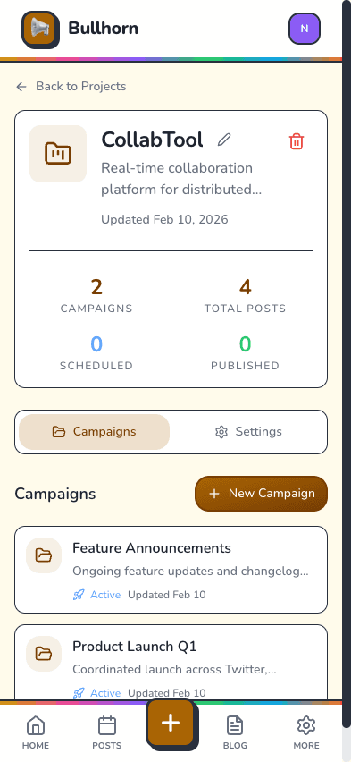 Project detail with campaigns and posts